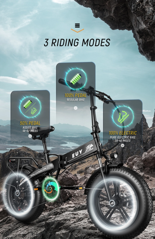 Elektrische Fiets 750W Motor Fat Tire E-bike met Samsung 48V Accu