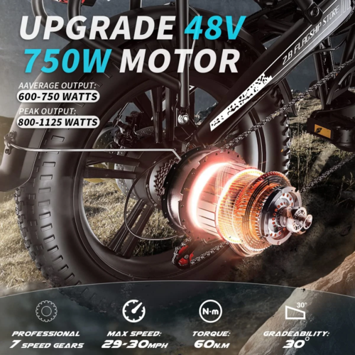 Elektrische Fiets 750W Motor Fat Tire E-bike met Samsung 48V Accu