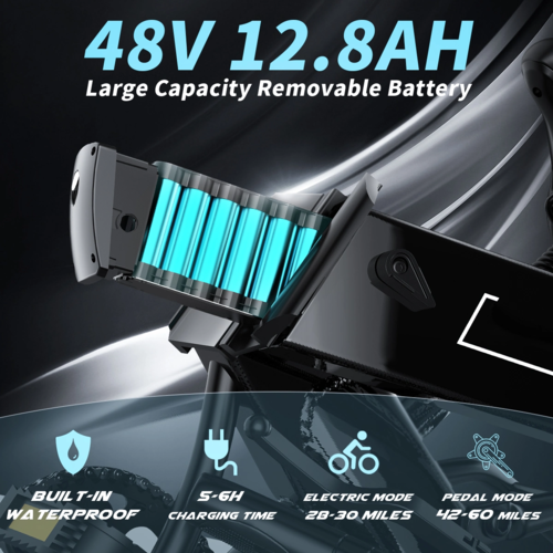 Elektrische Fiets 750W Motor Fat Tire E-bike met Samsung 48V Accu