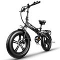 Elektrische Fiets 750W Motor Fat Tire E-bike met Samsung 48V Accu