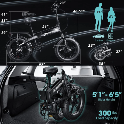 Elektrische Fiets 750W Motor Fat Tire E-bike met Samsung 48V Accu
