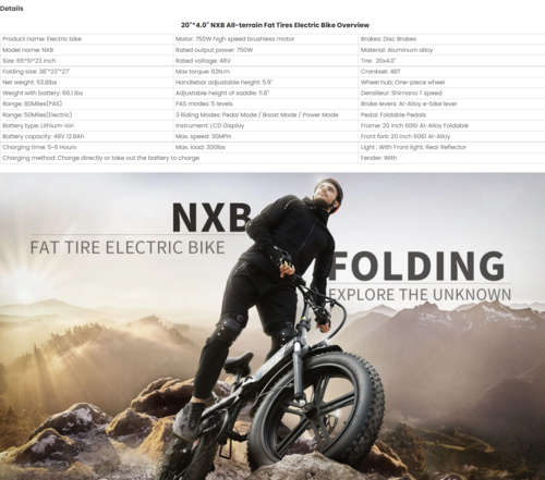 Elektrische Fiets 750W Motor Fat Tire E-bike met Samsung 48V Accu